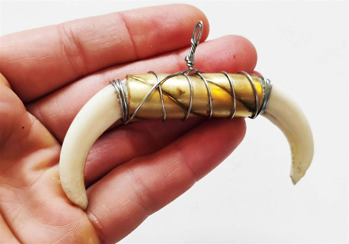 Wild Boar Tusk Amulet
