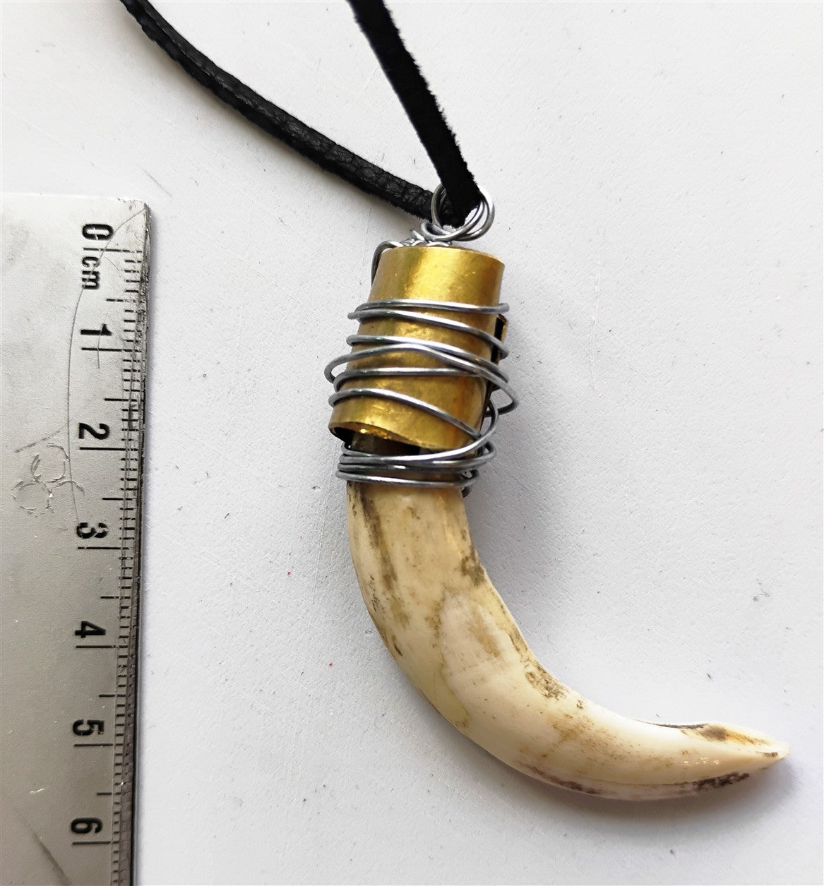 Wild Boar Tusk Amulet