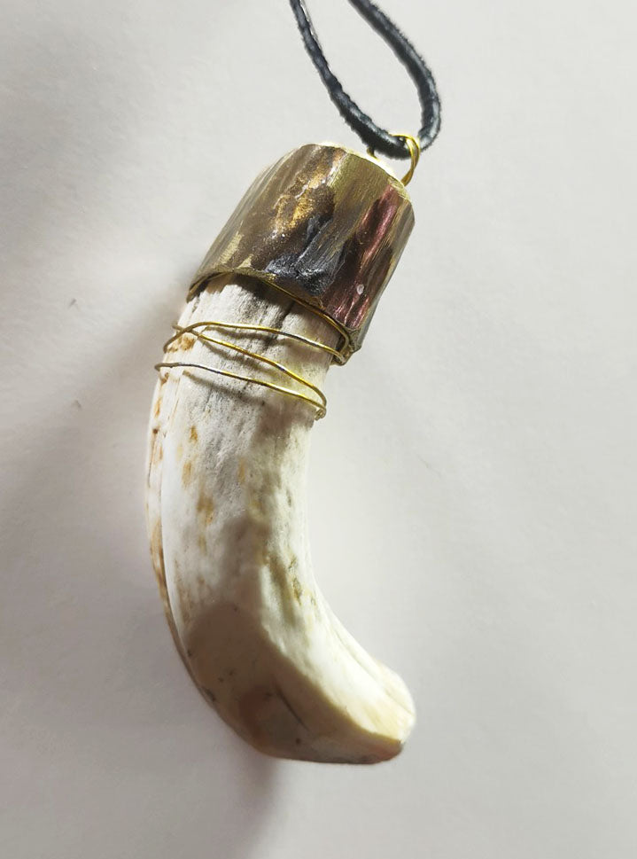 Wild Boar Tusk Amulet