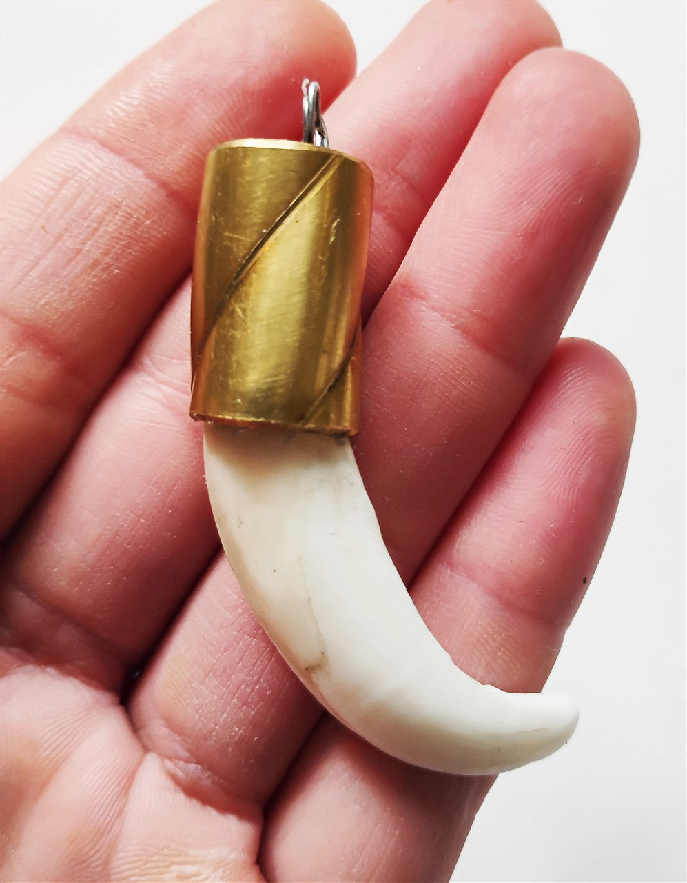 Wild Boar Tusk Amulet