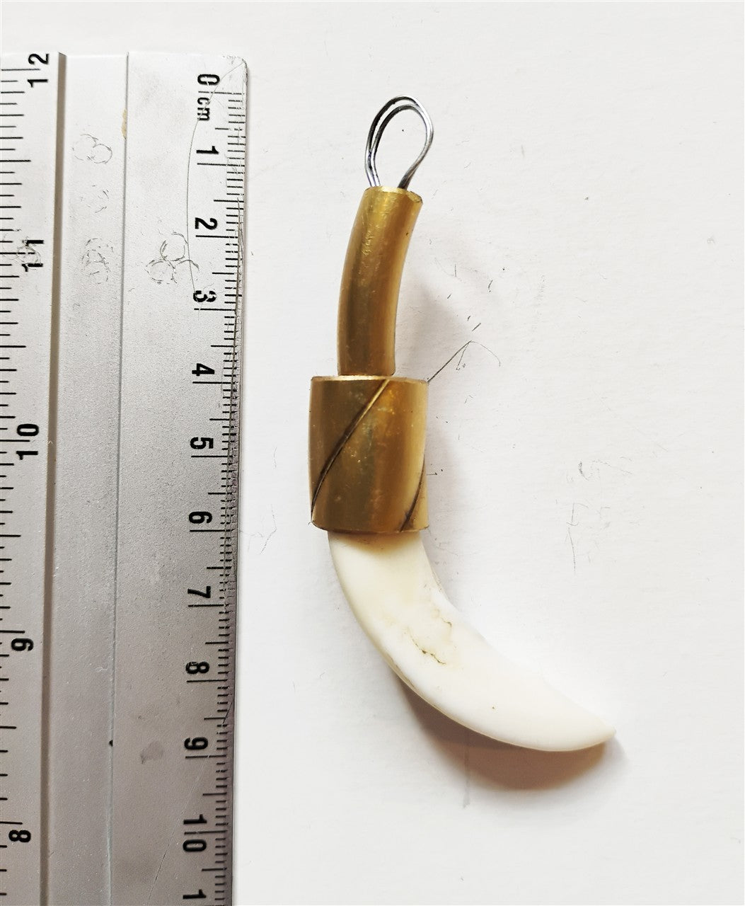 Wild Boar Tusk Amulet