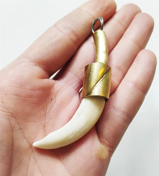 Wild Boar Tusk Amulet