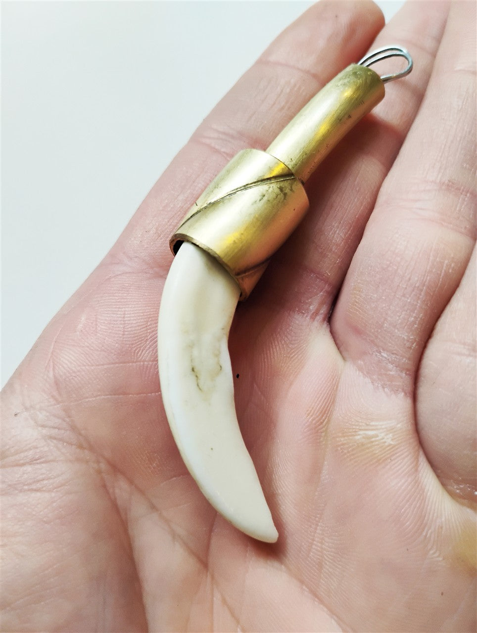 Wild Boar Tusk Amulet
