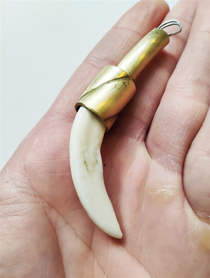 Wild Boar Tusk Amulet