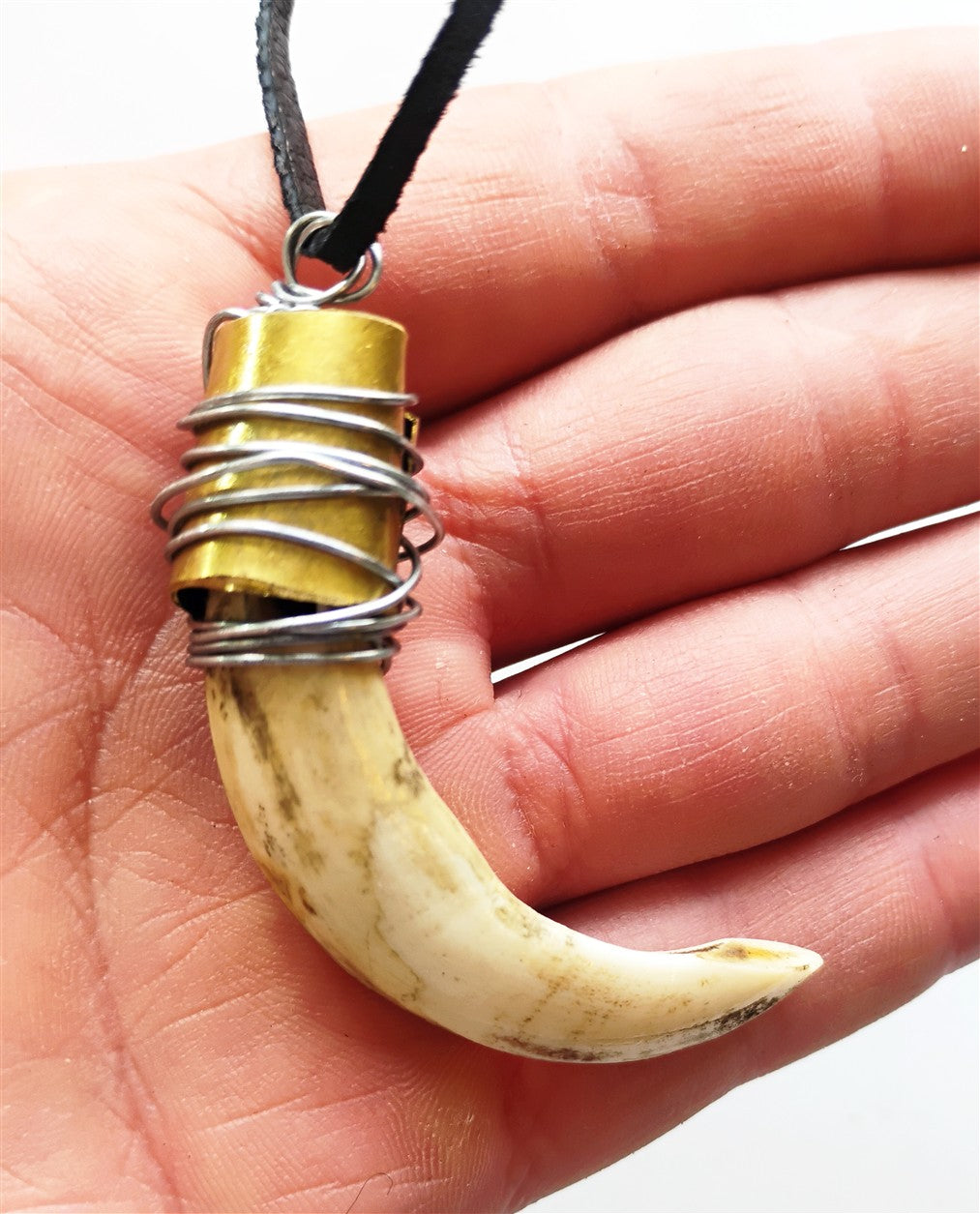 Wild Boar Tusk Amulet