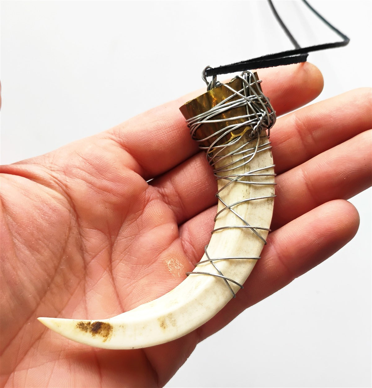 Wild Boar Tusk Amulet