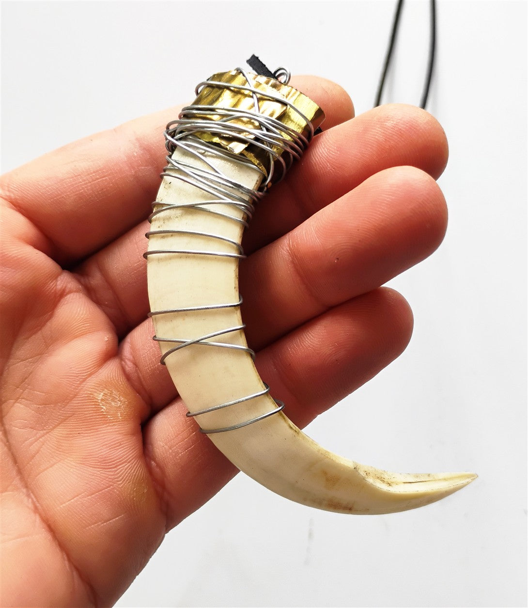Wild Boar Tusk Amulet