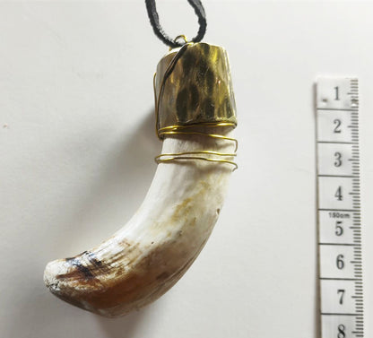 Wild Boar Tusk Amulet