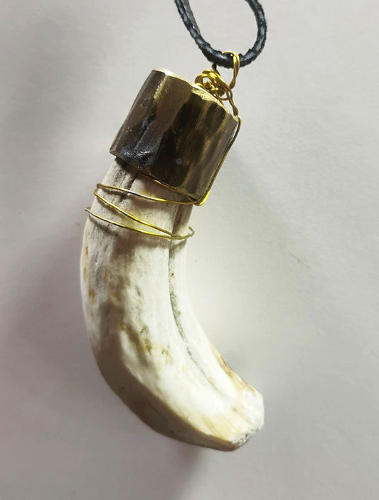 Wild Boar Tusk Amulet