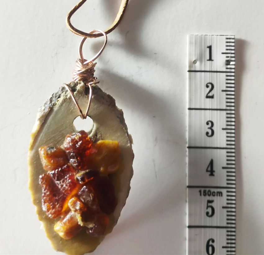Baltic Amber &amp; Deer Antler Slice Pendant