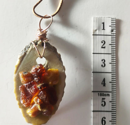 Baltic Amber &amp; Deer Antler Slice Pendant