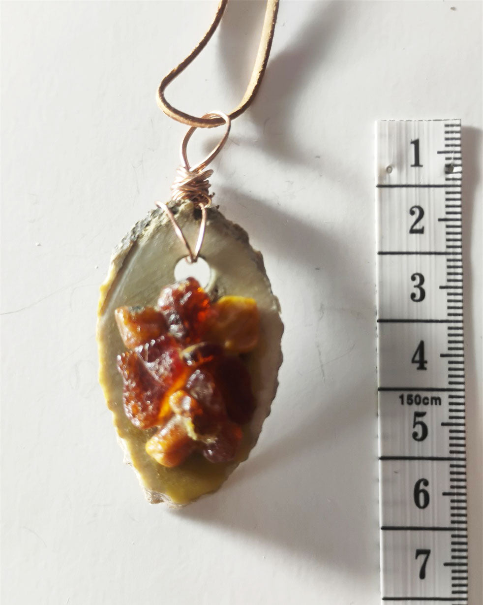 Baltic Amber &amp; Deer Antler Slice Pendant