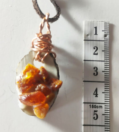 Baltic Amber &amp; Deer Antler Slice Pendant