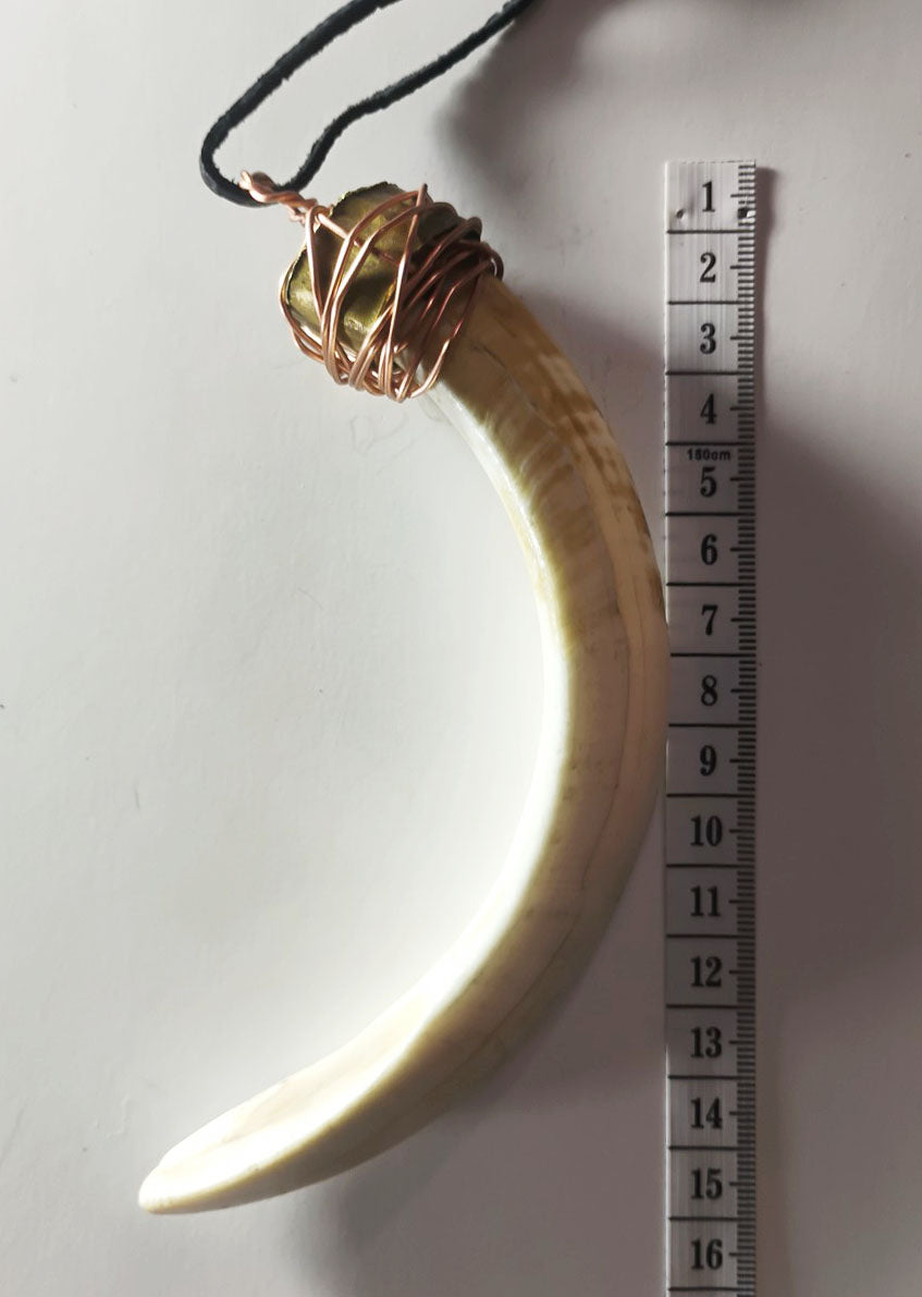 Wild Boar Tusk Amulet