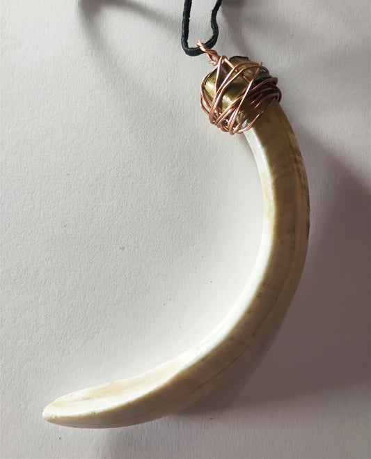 Wild Boar Tusk Amulet