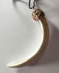 Wild Boar Tusk Amulet