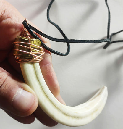 Wild Boar Tusk Amulet