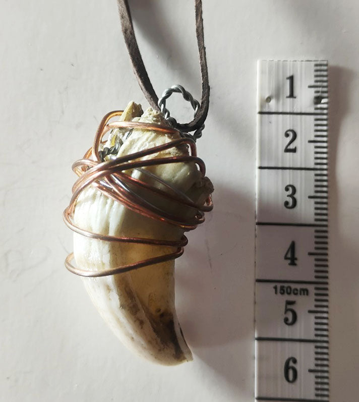 amulet