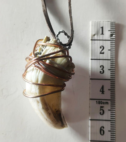 amulet