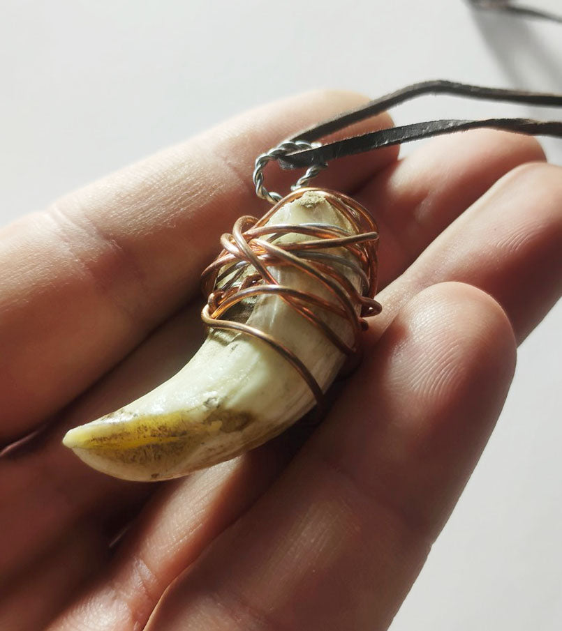 amulet