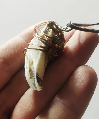 amulet