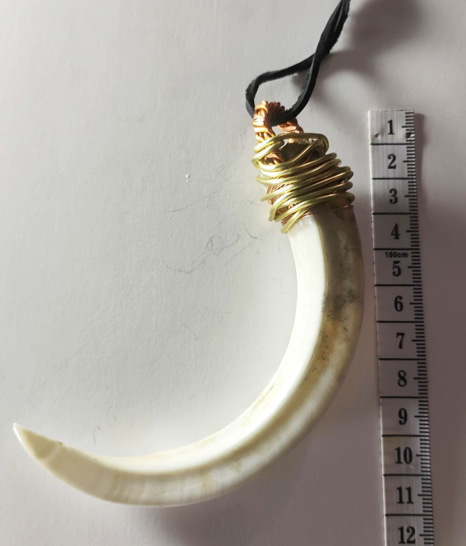 Wild Boar Tusk Amulet