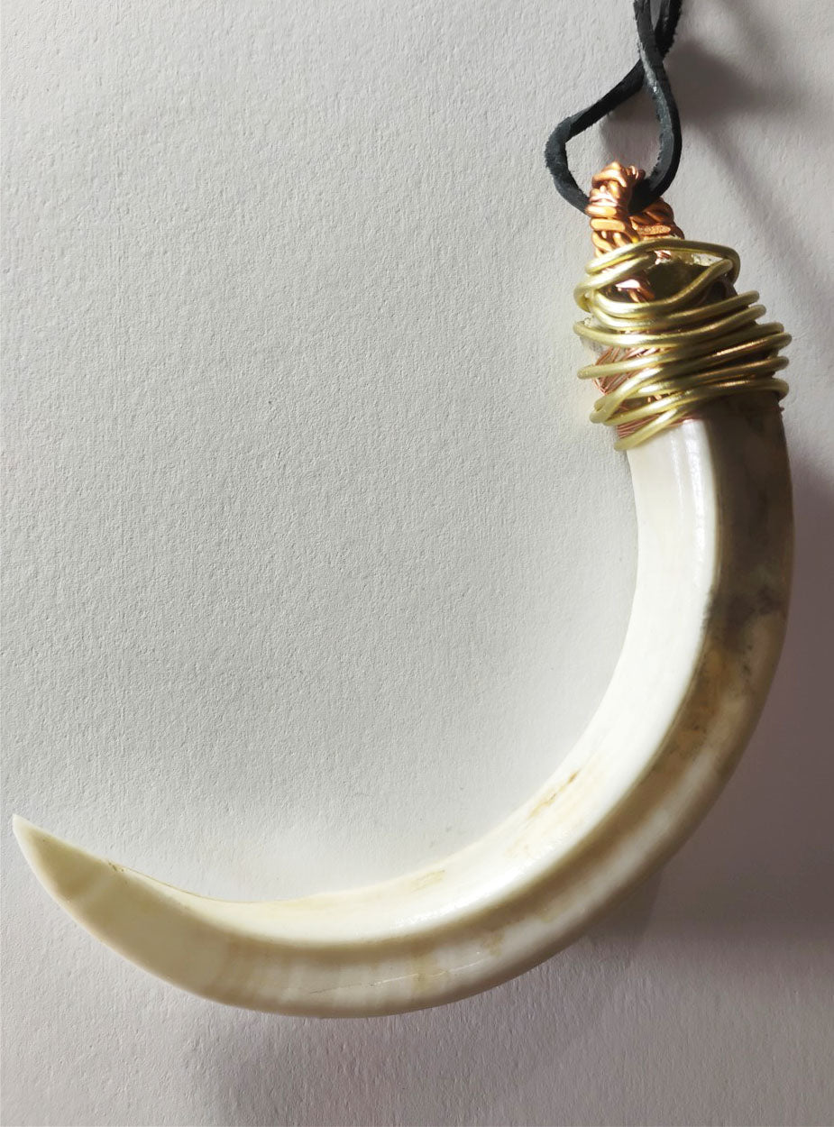 Wild Boar Tusk Amulet