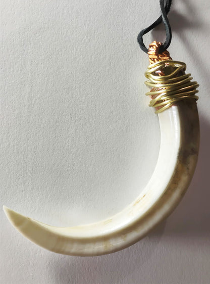 Wild Boar Tusk Amulet
