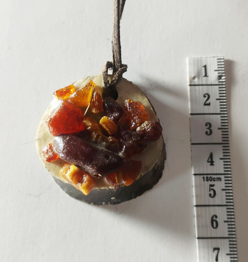 Baltic Amber &amp; Deer Antler Slice Pendant