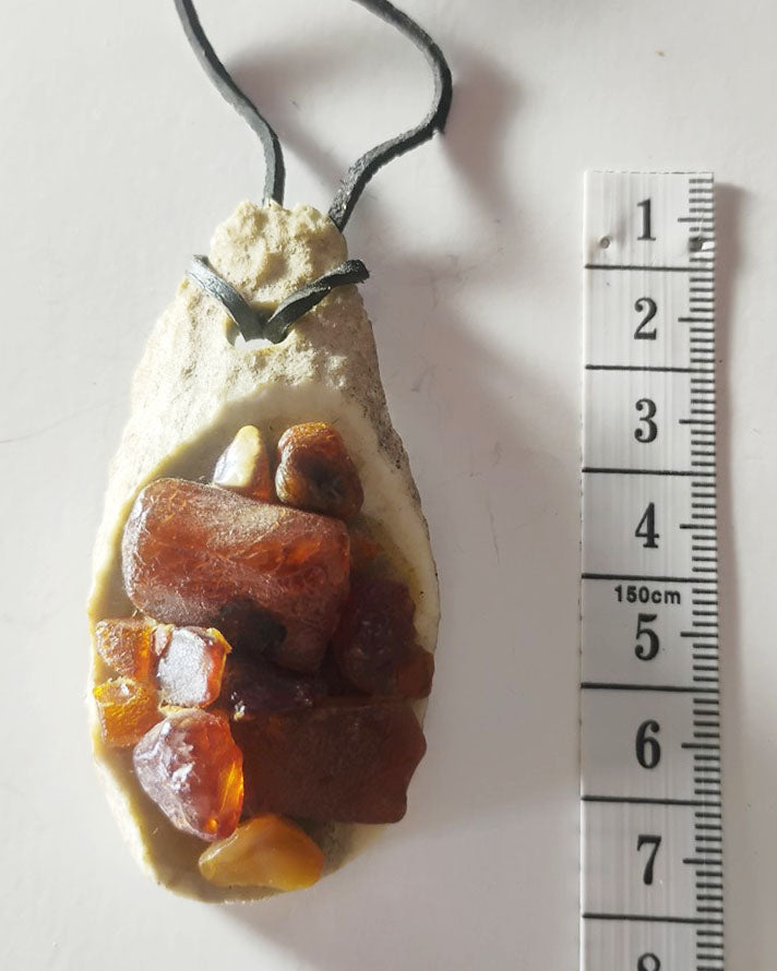 Baltic Amber &amp; Deer Antler Slice Pendant