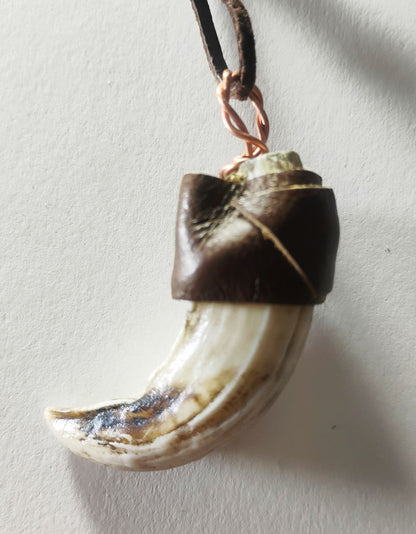 Wild Boar Tusk Amulet