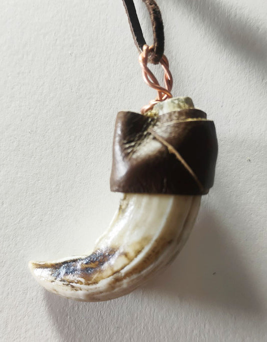 Wild Boar Tusk Amulet