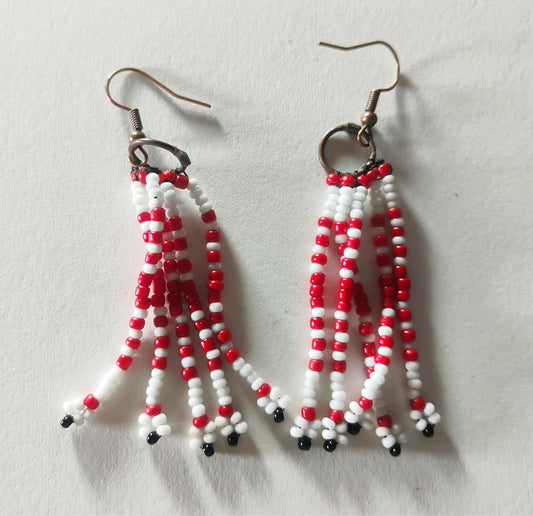 Handcrafted Beaded Fringe Earrings – One-of-a-Kind Woven Dangles